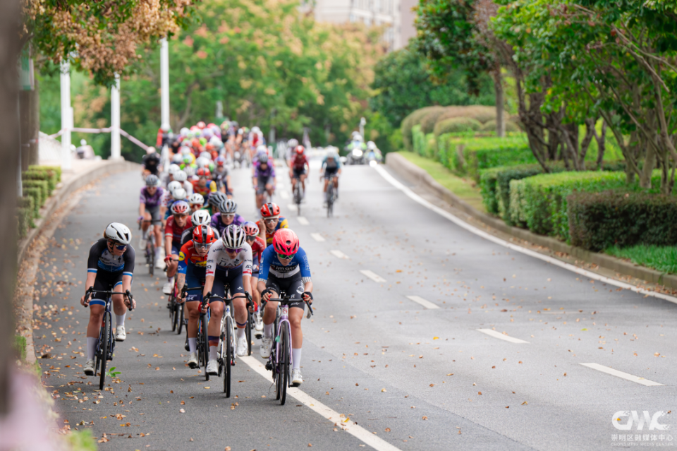 全力向终点, 丽芙, 已成为全球