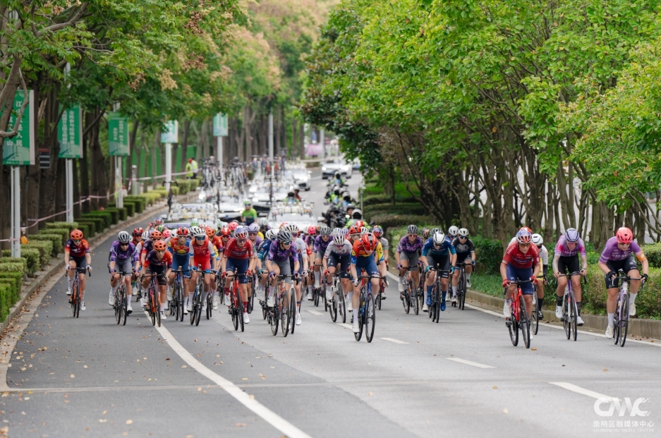 镇至新河镇, MGfrW