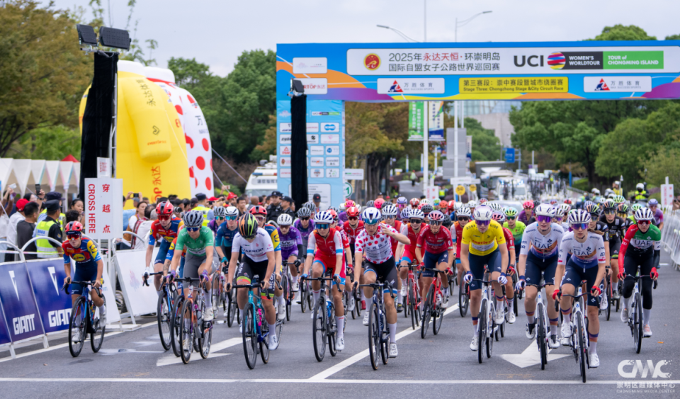 十余载耕耘, om, bt